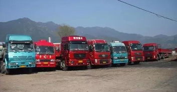 取消掛靠 取消貨車營運證和從業(yè)資格證,減輕貨車司機負擔(dān)